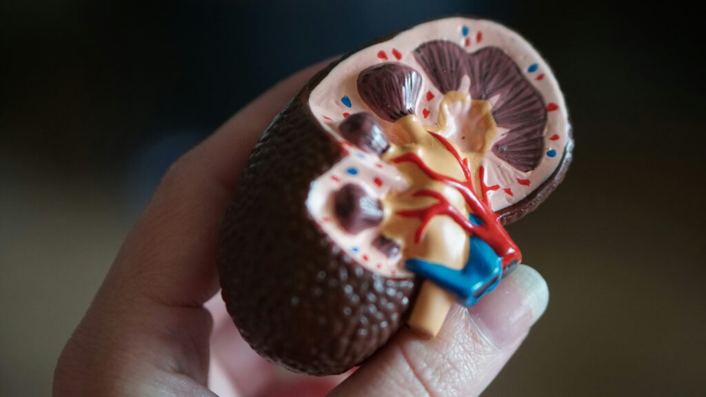 best Urology Hospital in Vasai